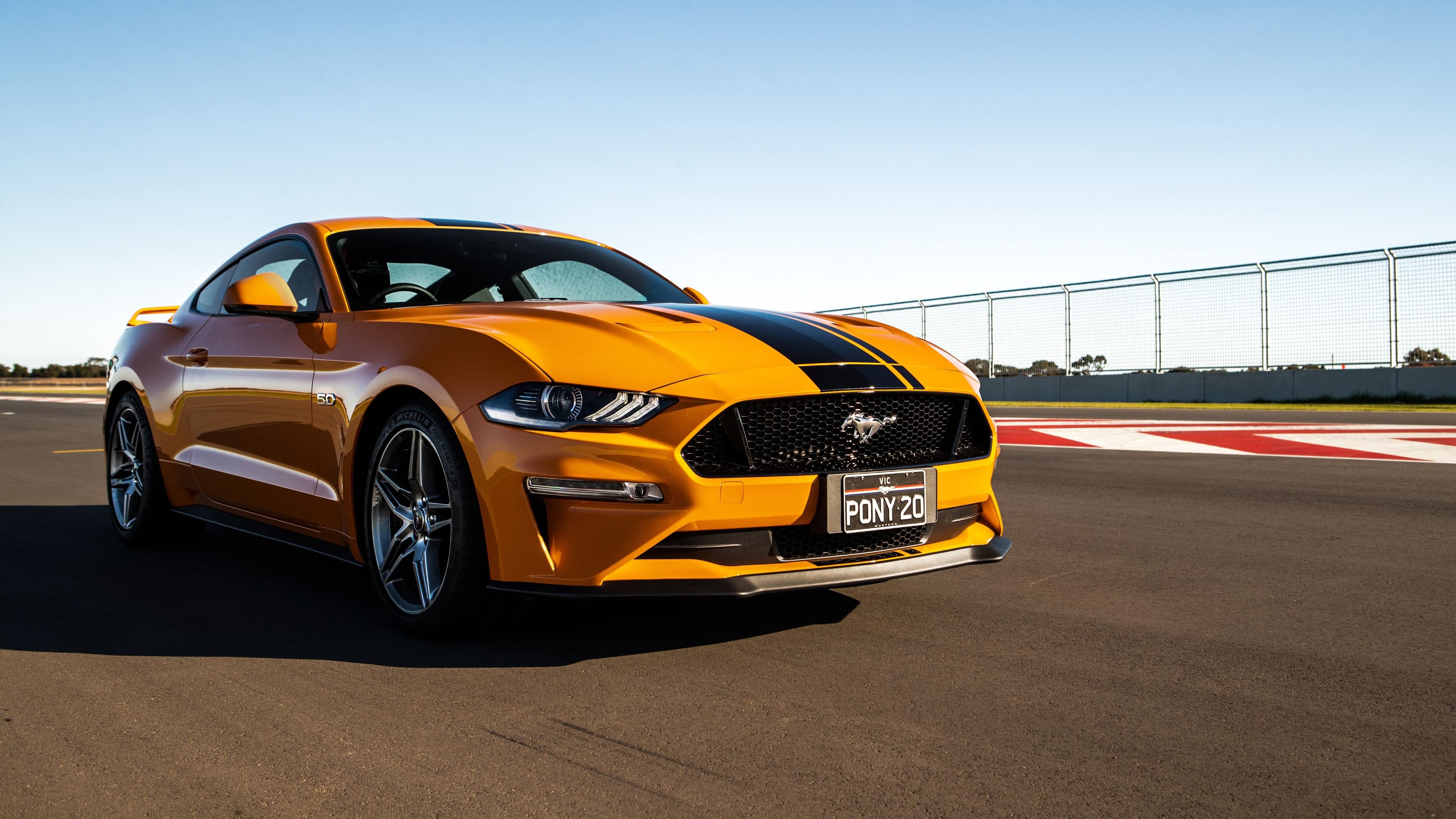 Mustang Gallery 3