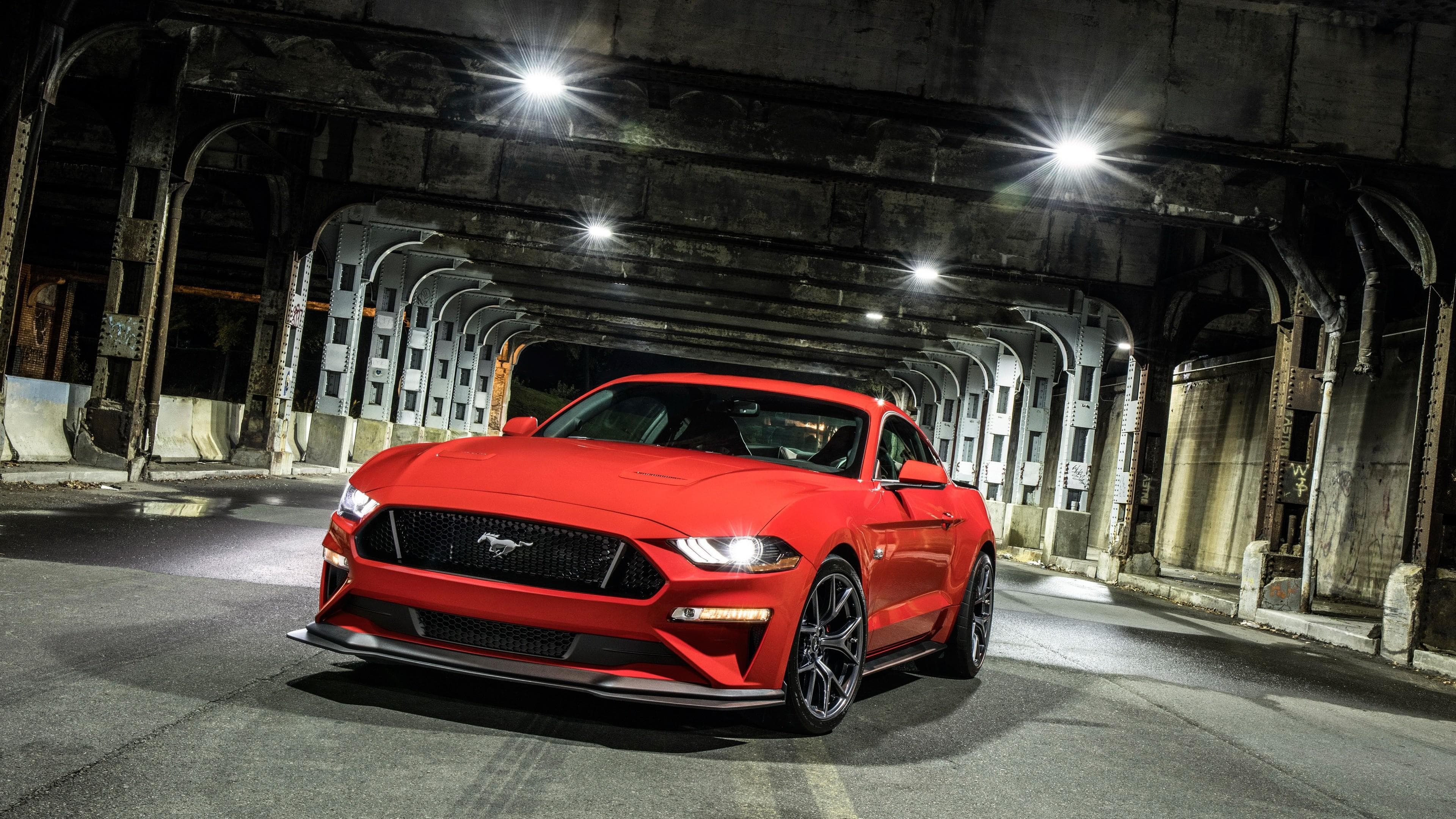 Mustang Gallery 4