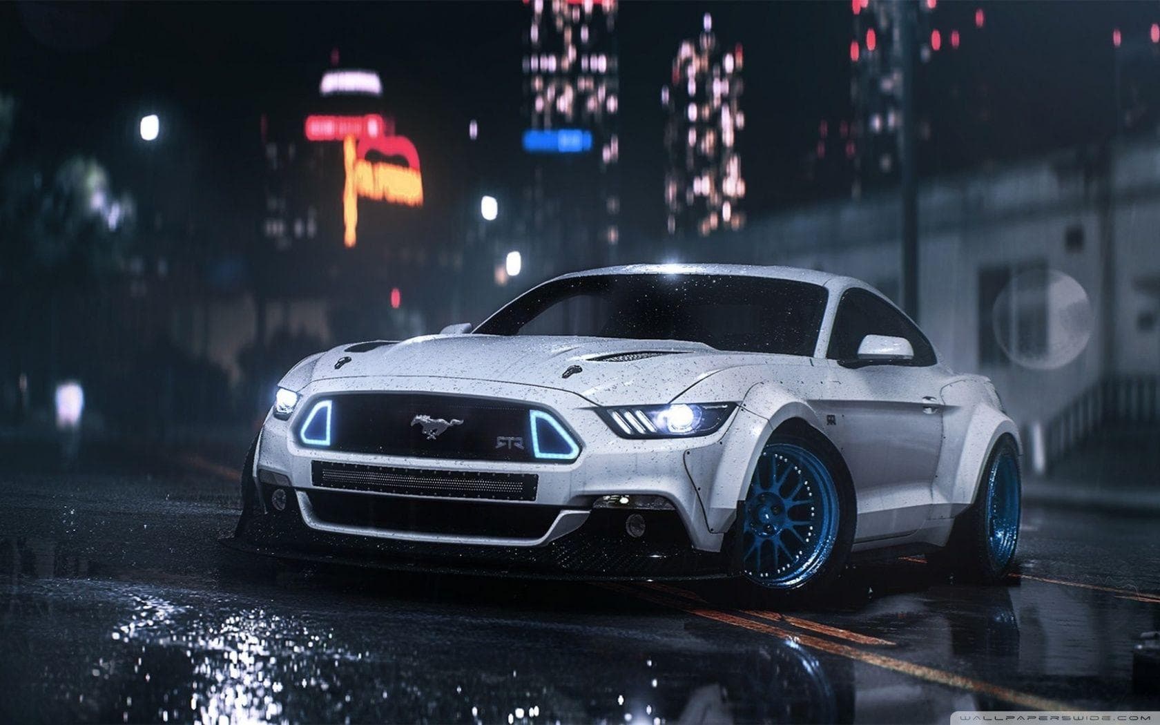 Mustang Gallery 5
