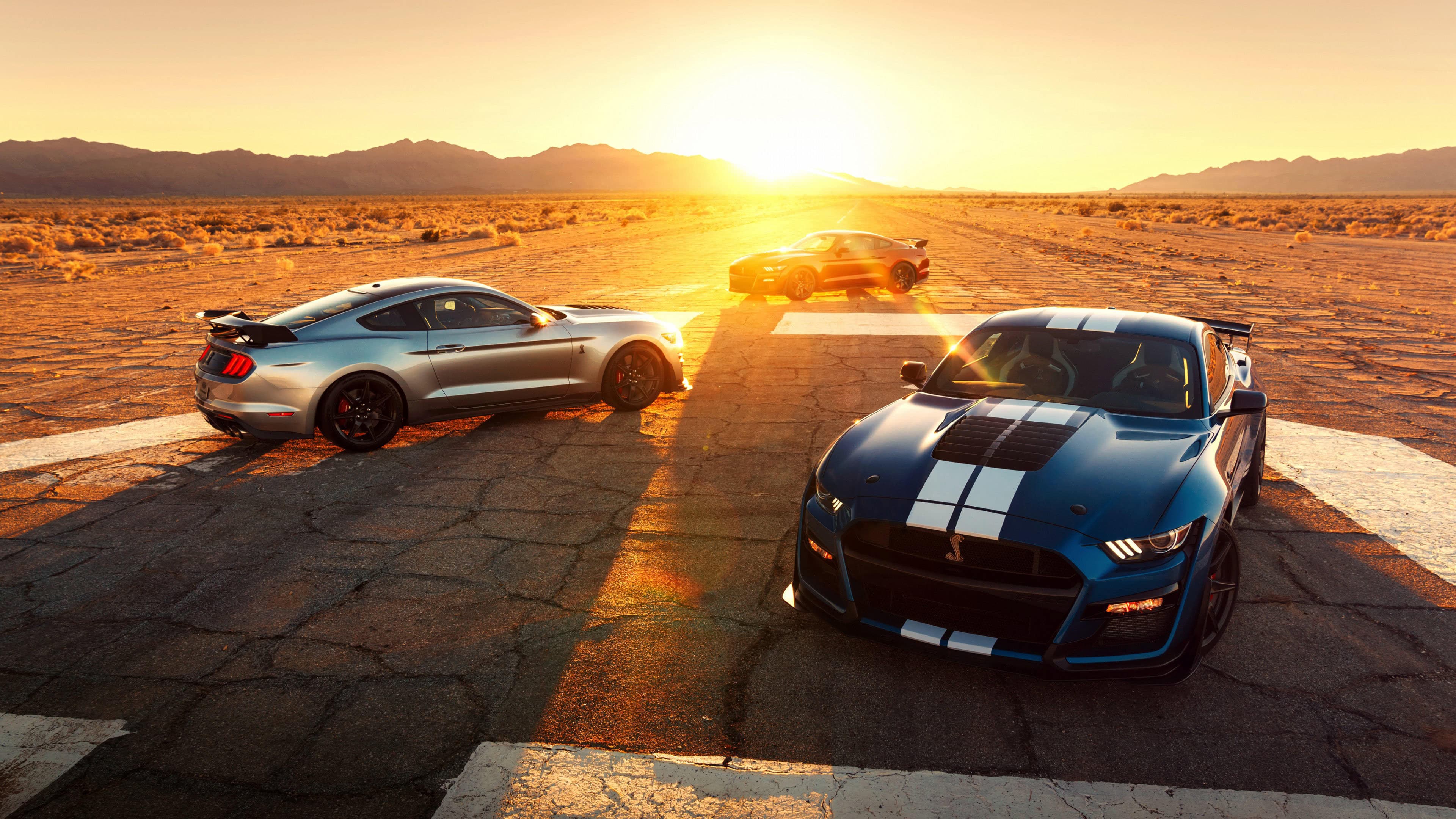 Mustang Gallery 6